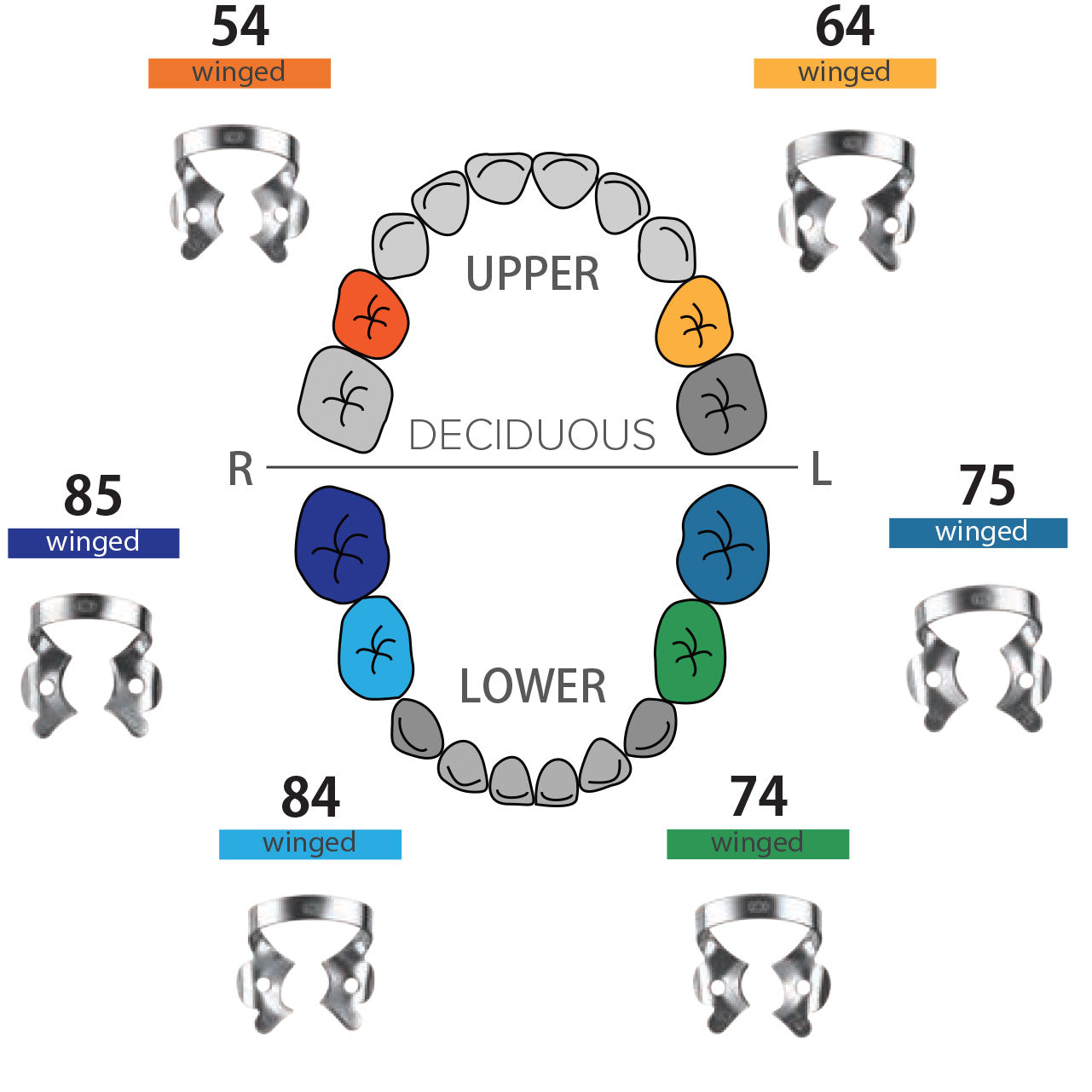 Clamp dental #85 dientes temporales / pediátricos