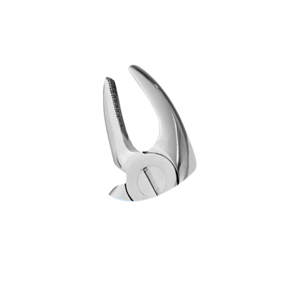 Fórceps pico de loro CSB molares