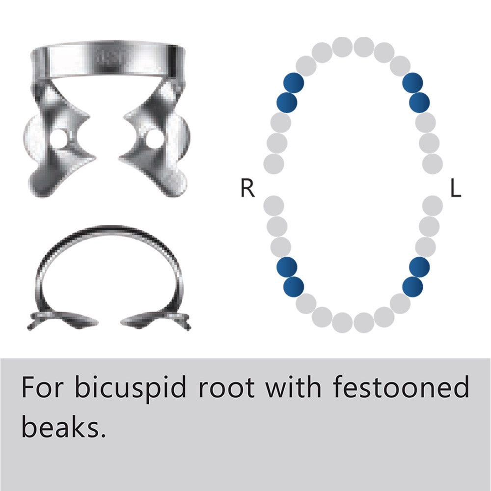 Clamp dental #1 premolar