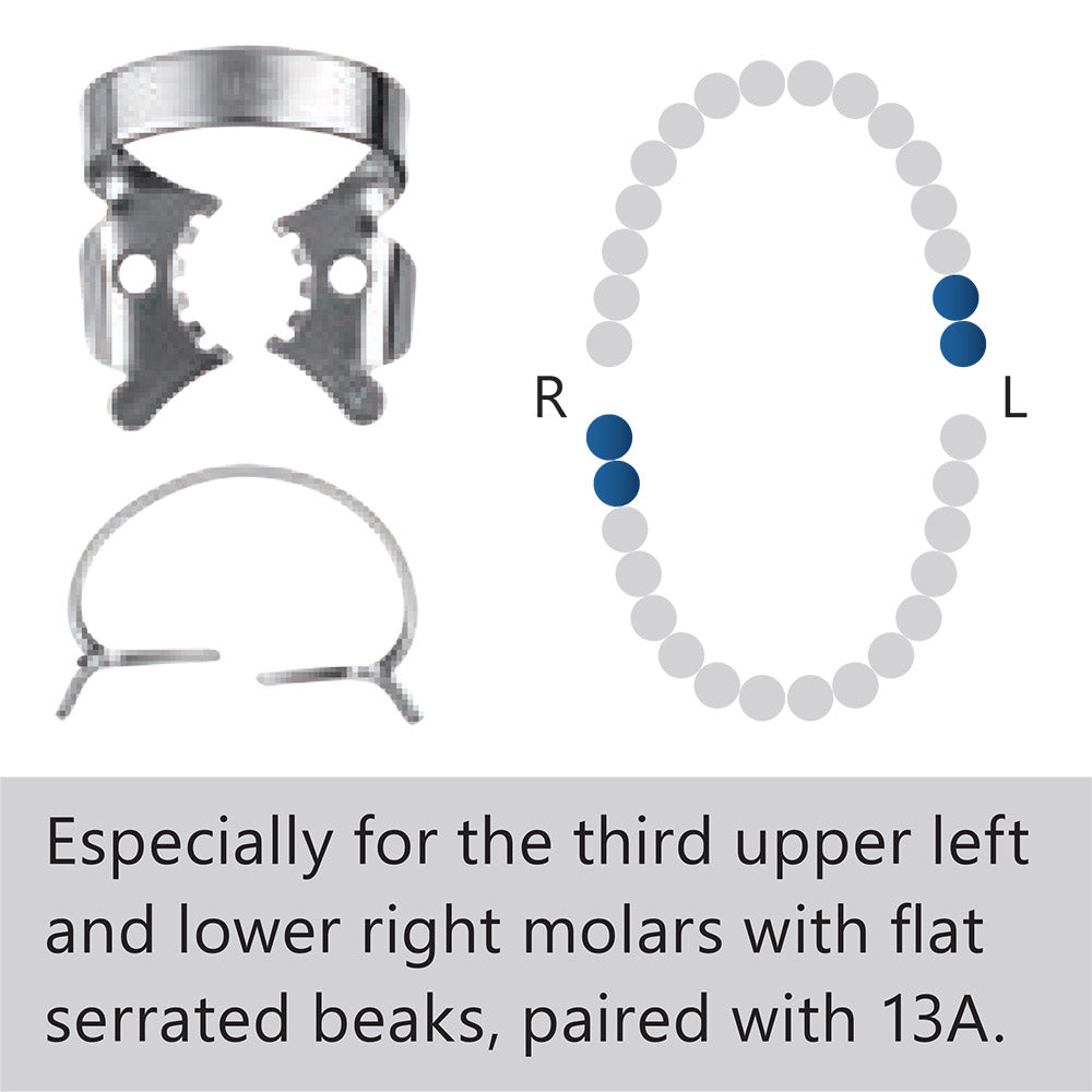 Clamp dental #12A molar