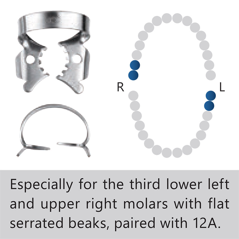 Clamp dental #13A molar