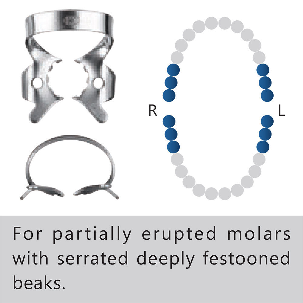 Clamp dental #14T “Tiger”/especiales