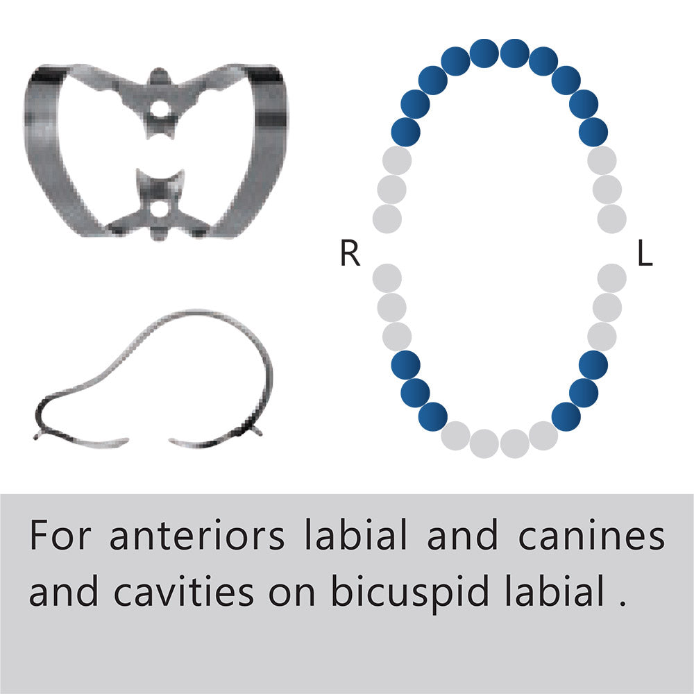Clamp dental #210 anteriores