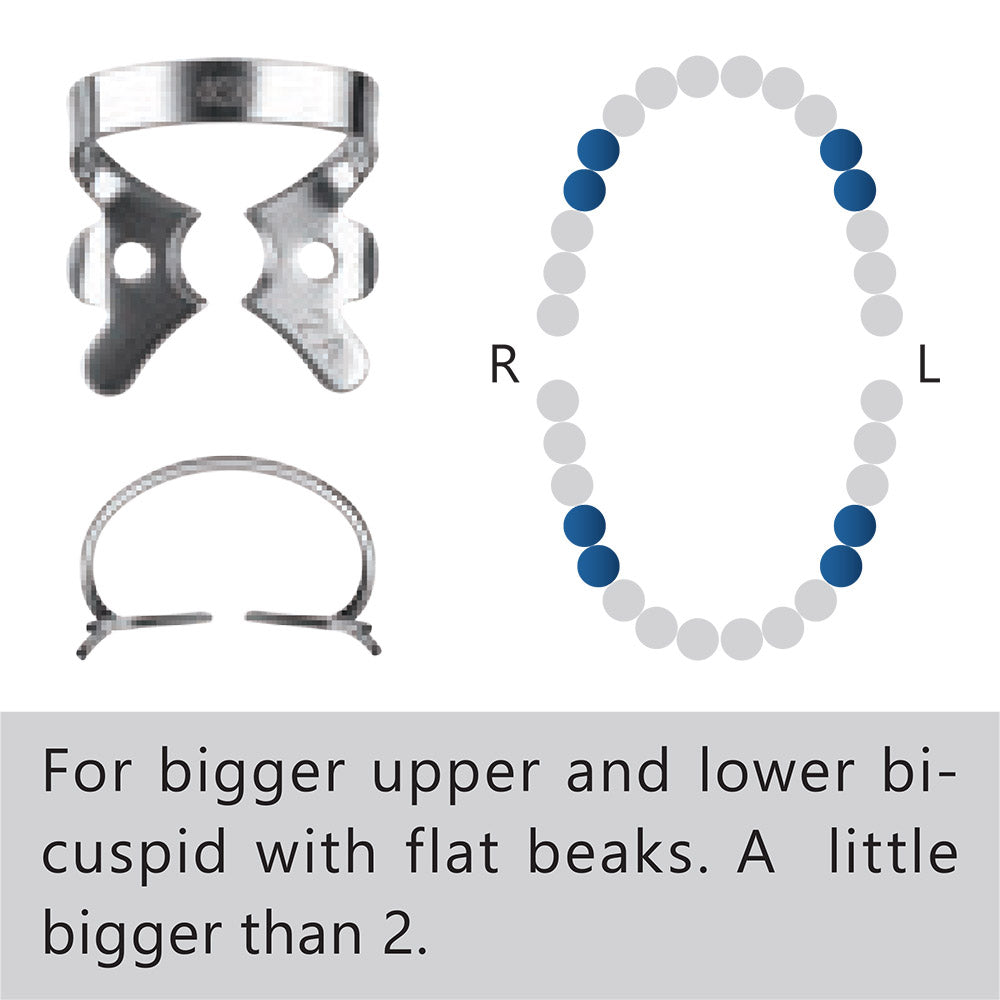 Clamp dental #2A premolar