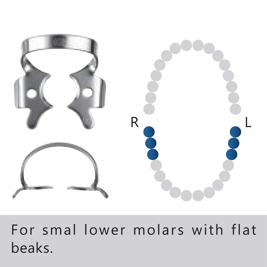 Clamp dental #3 molar