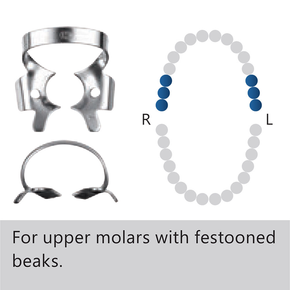 Clamp dental #4 molar