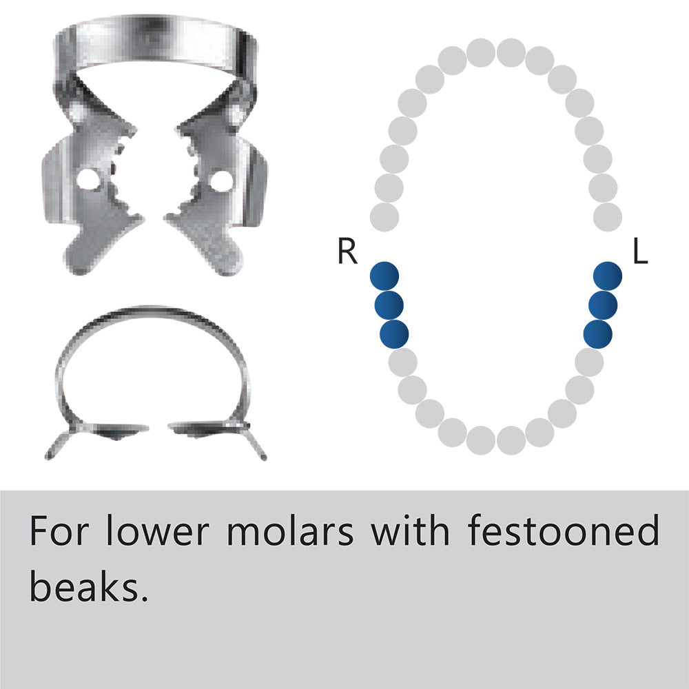 Clamp dental #56T“Tiger”          /especiales