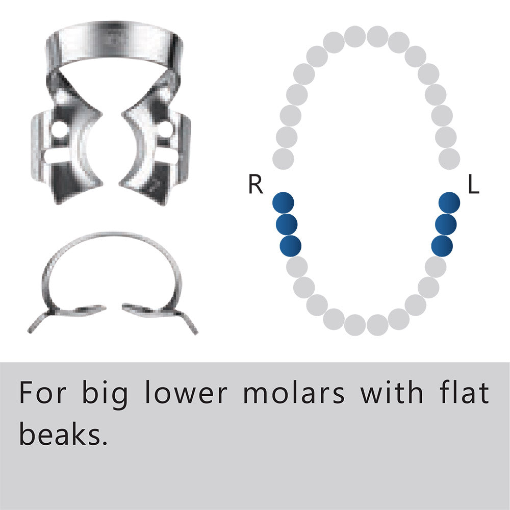 Clamp dental #7 molar
