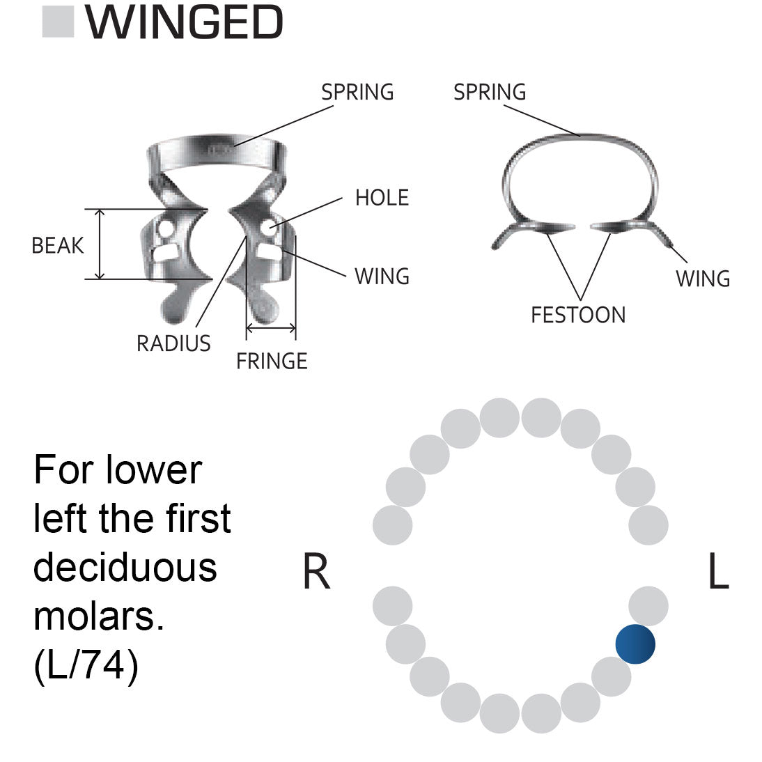 Clamp dental #74 dientes temporales / pediátricos
