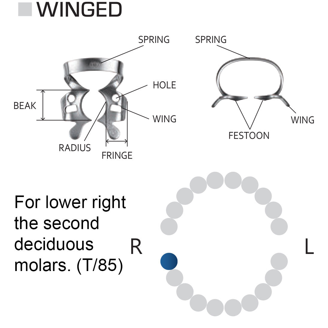 Clamp dental #85 dientes temporales / pediátricos