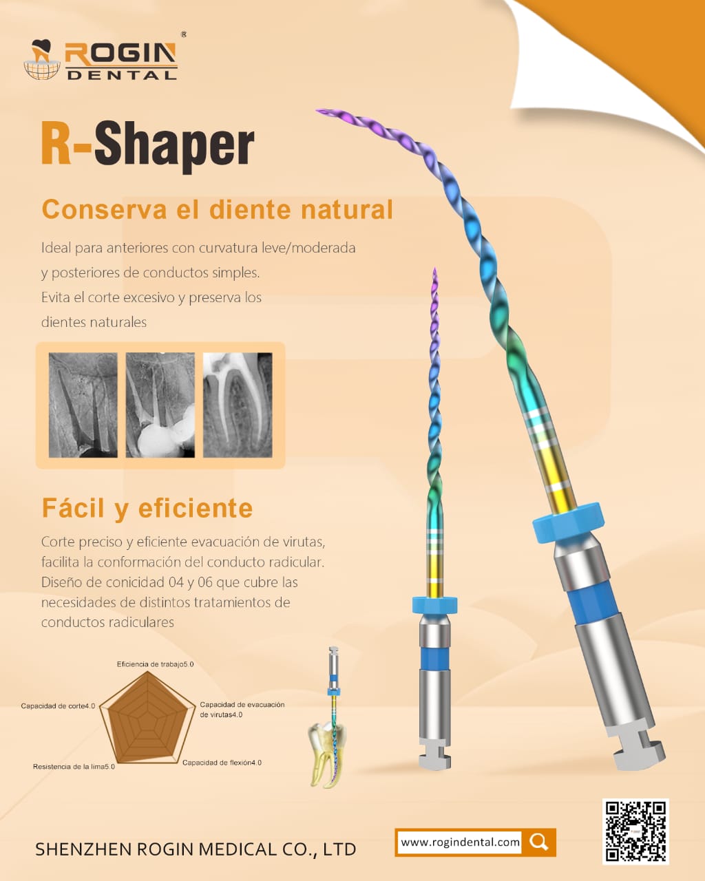 Limas mecanizadas R-Shaper